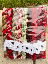 Holiday mini skein set