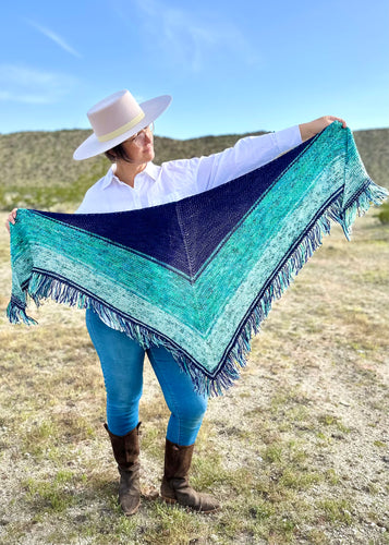 LYS Day Kits Love Your Store ‘24 Garter Me Shawl
