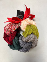Double Dog Dare You Knitting Kit Baah Yarn￼