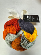 Double Dog Dare You Knitting Kit Baah Yarn￼
