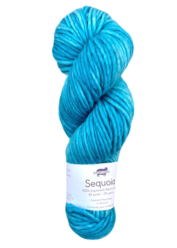 Cold Snap Baah Yarn Sequoia