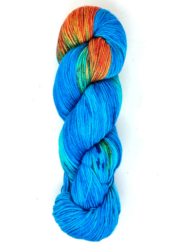 Party Bus Shadow Assigned Pooling - Baah Yarn Sonoma