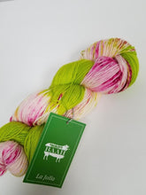 Baah Yarn Dipped & Dappled Knitting Kit