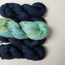 Caitlin Hunter Zweig Knitting Kit
