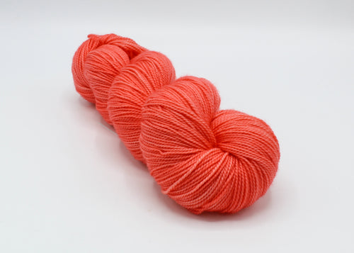 Coral Bay - Baah Yarn Shasta