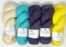 Cheryl Faust Embrace the Chill Knitting Kit with Baah Yarn