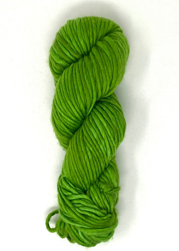 Green With Envy Baah Yarn Mammoth