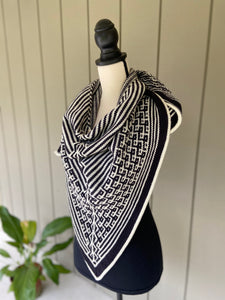 Cheryl Faust Synchronicity Shawl Knitting Kit with Baah Yarn