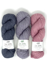 Lisa Hannes Festival of Stitches Knitting Kit with Baah Yarn