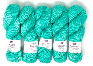 Teal The Cows Come Home Baah Yarn Sequoia