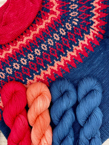 Caitlin Hunter Ilya Pullover Knitting Kit