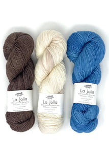 Lisa Hannes Festival of Stitches Knitting Kit with Baah Yarn