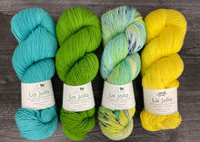 Casapinka Botanique Knitting Kit